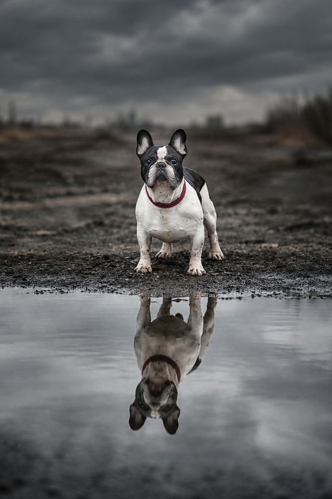 Photograph by Ольга Софронова