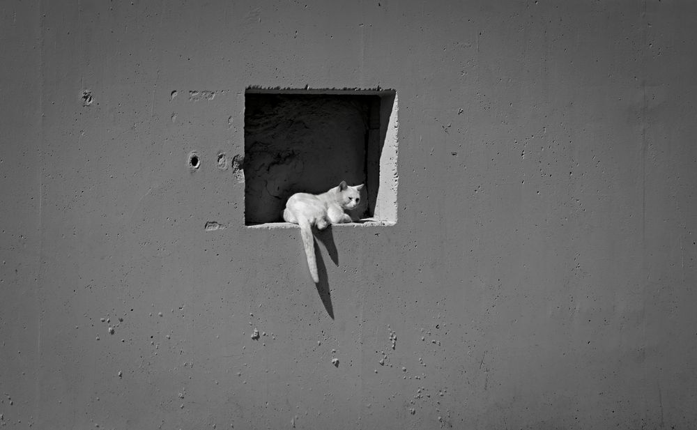 Photograph by Татьяна Слесарева