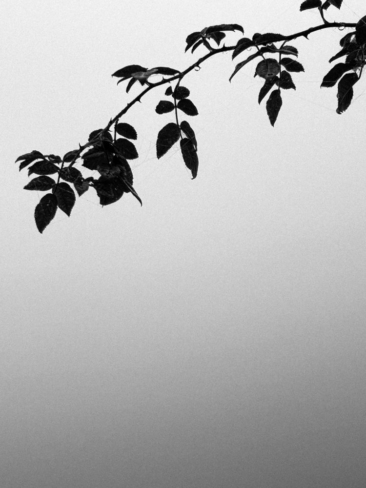 Photograph by Аруза
