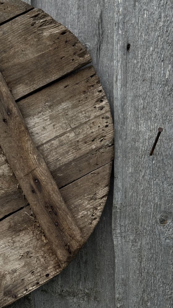 Photograph by Алеся Гурьянова