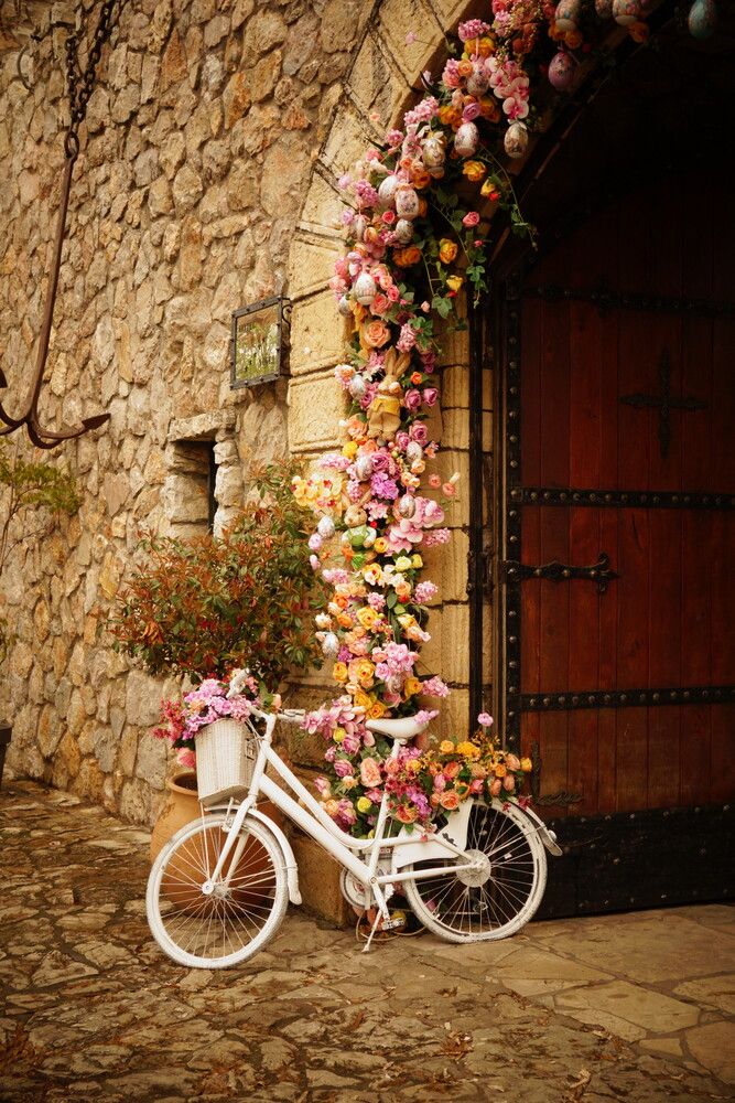 Photograph by Elizaveta