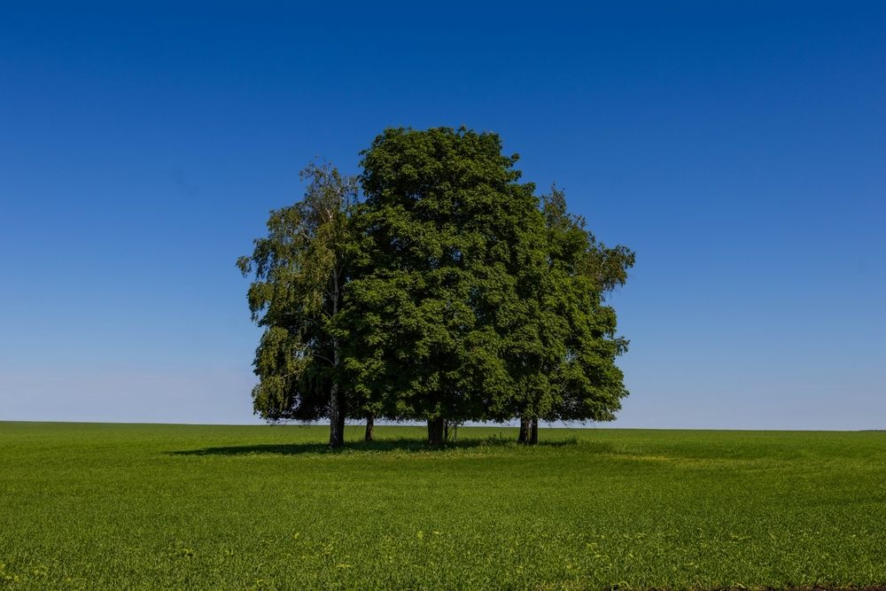 Photograph by Сергей Тельнюк