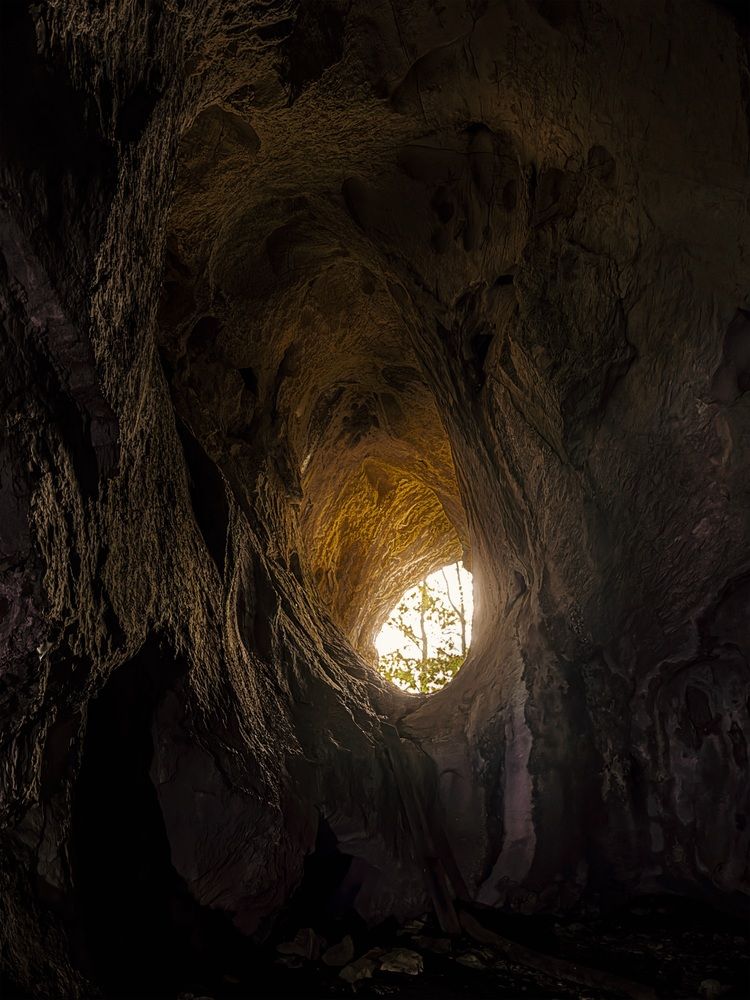 Photograph by Дарья Логовская