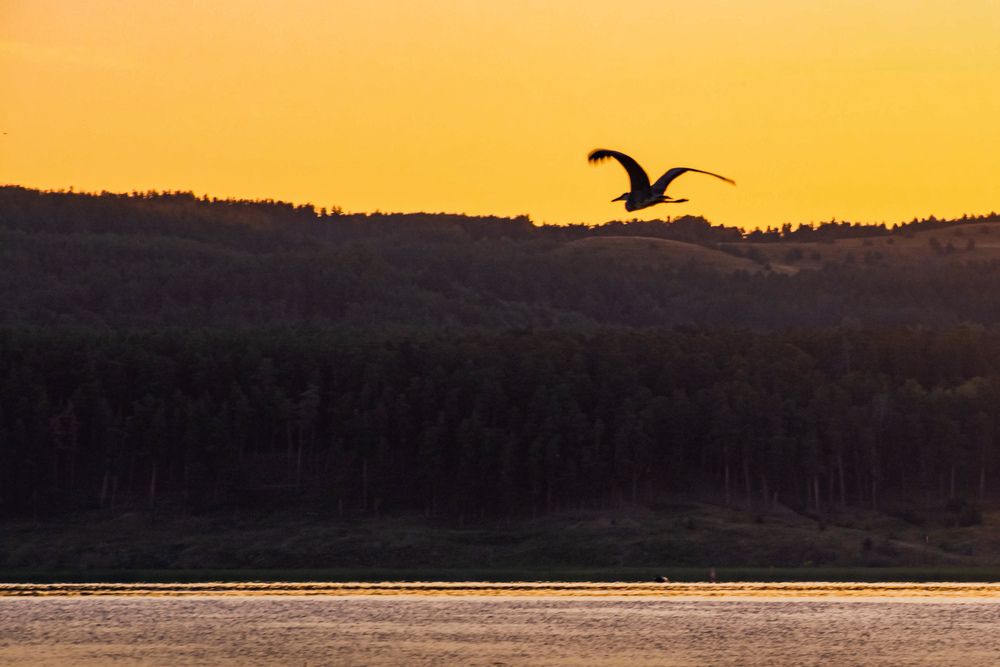 Photograph by Людмила Баймухаметова