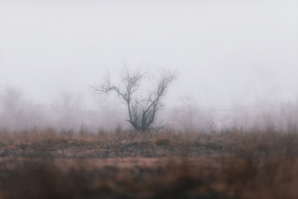Photo #13657299