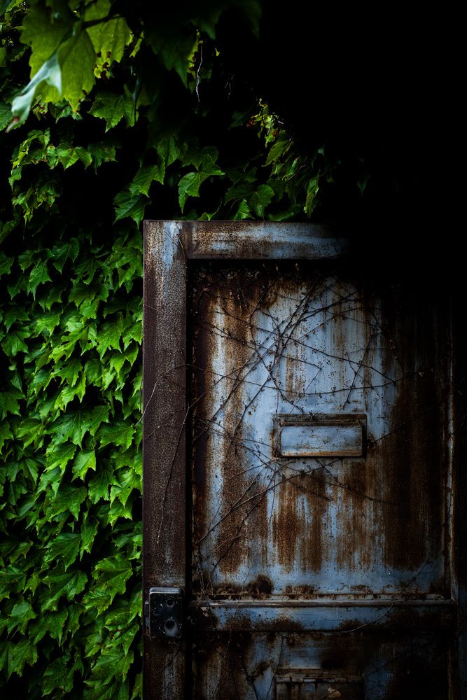 Photograph by Yamato Mutsuaki