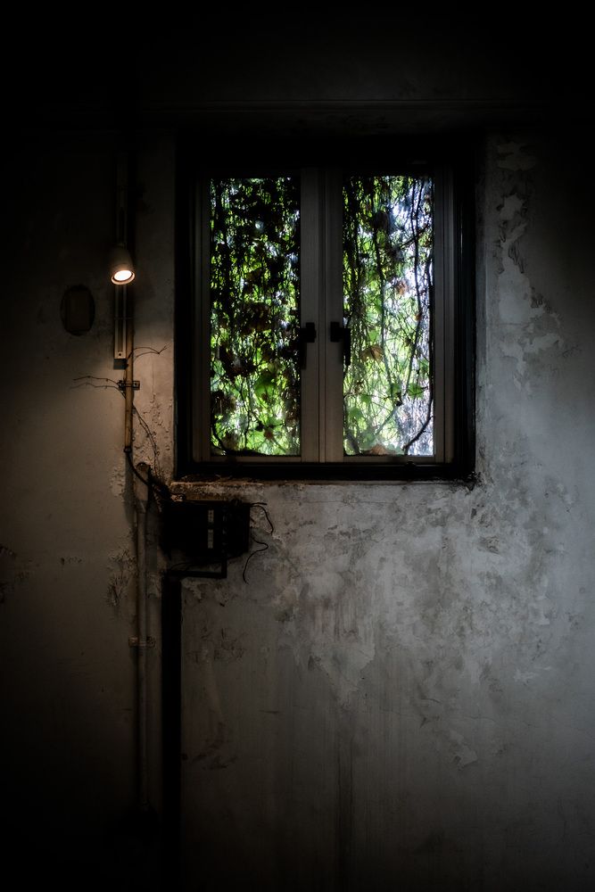 Photograph by Yamato Mutsuaki