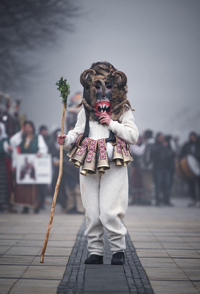 Photograph by Dimitar Titov