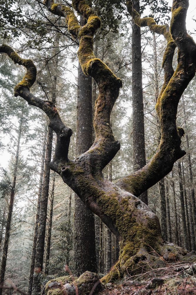 Photograph by Tatiana Filicheva