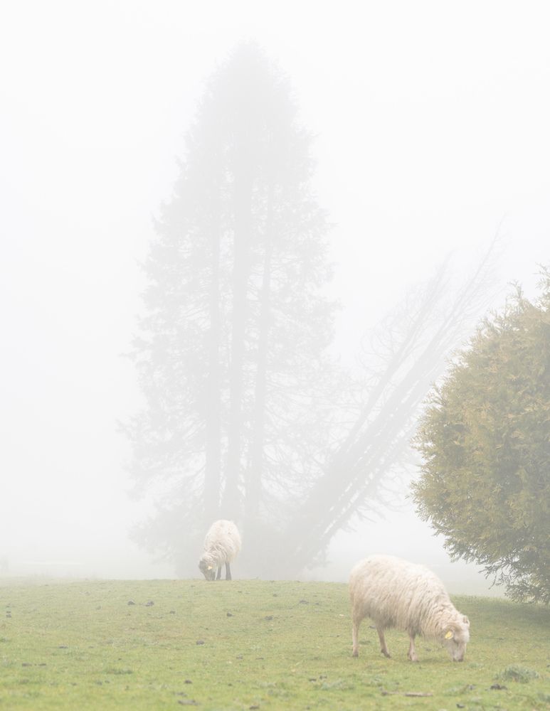 Photograph by Tatiana Filicheva