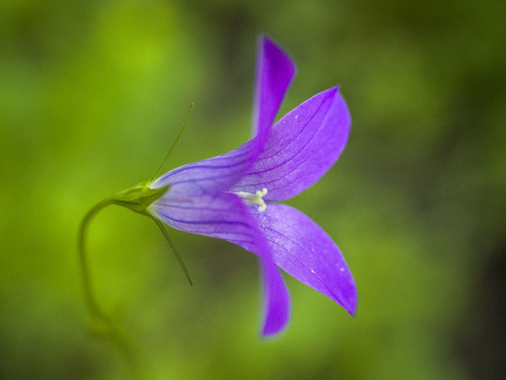 Photograph by александр печенкин