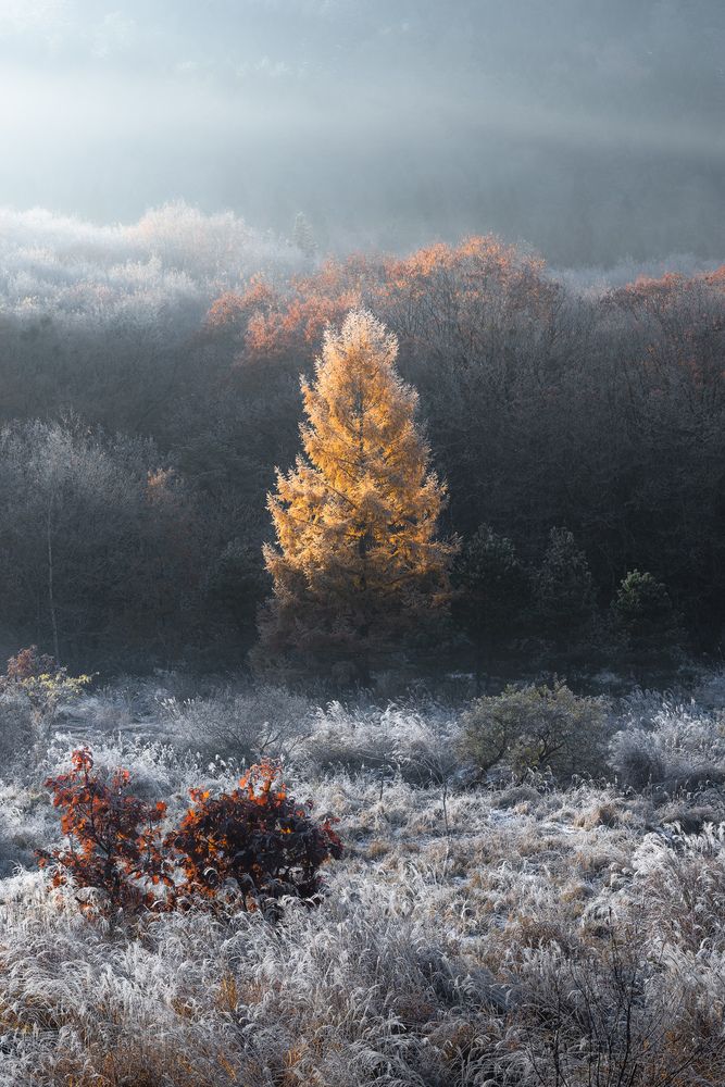 Photograph by Taketo Kazuho