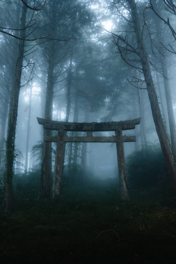 Photograph by Taketo Kazuho