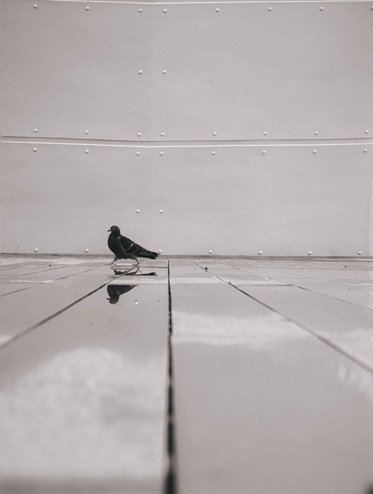 Photograph by Ольга Гончарова