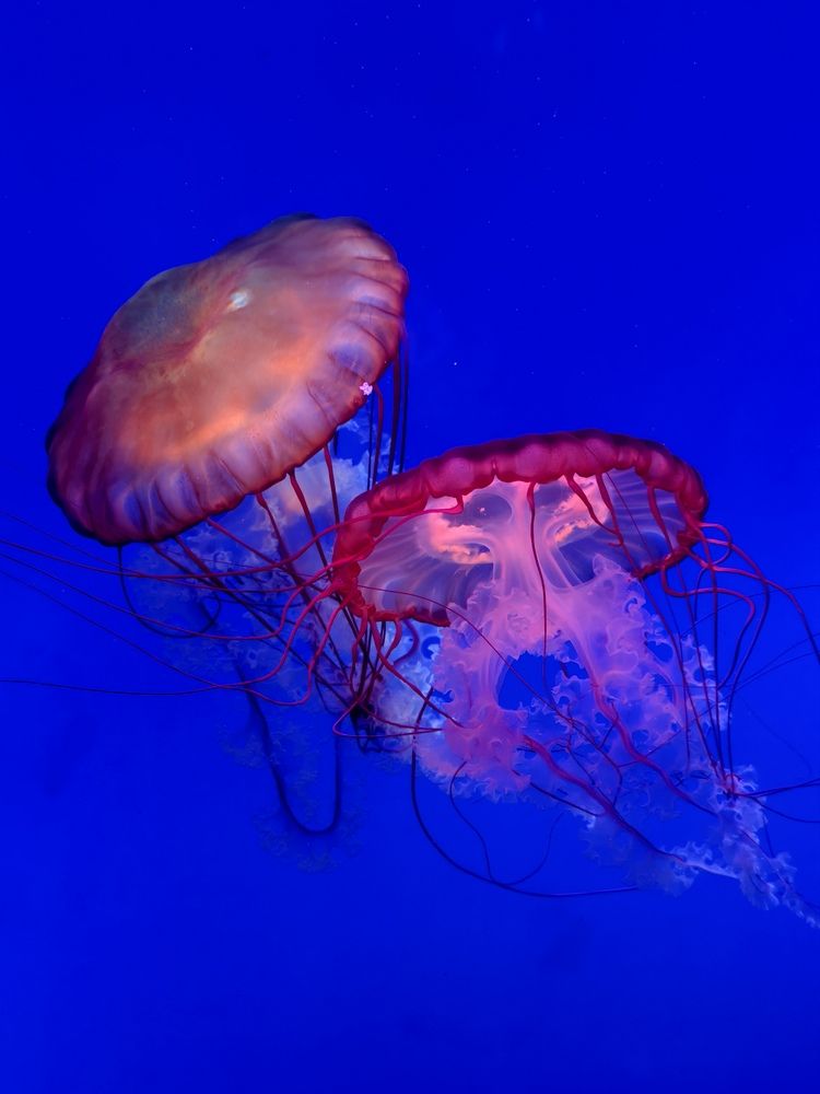 Photograph by Павел Глухов