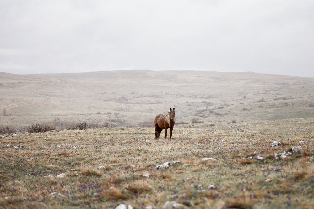 Photograph by Fabienne Gassmann