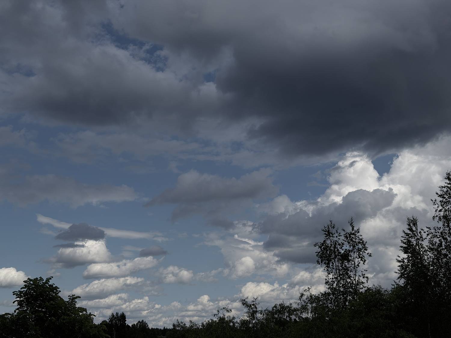 Photo #13657668