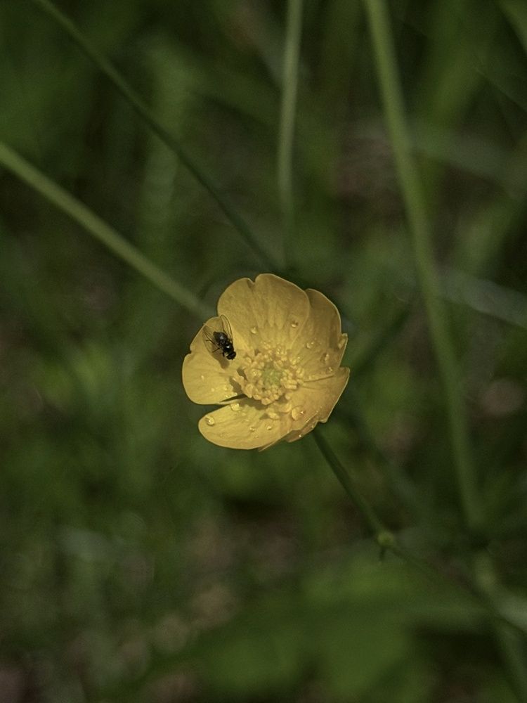 Photograph by Сергей Александрович