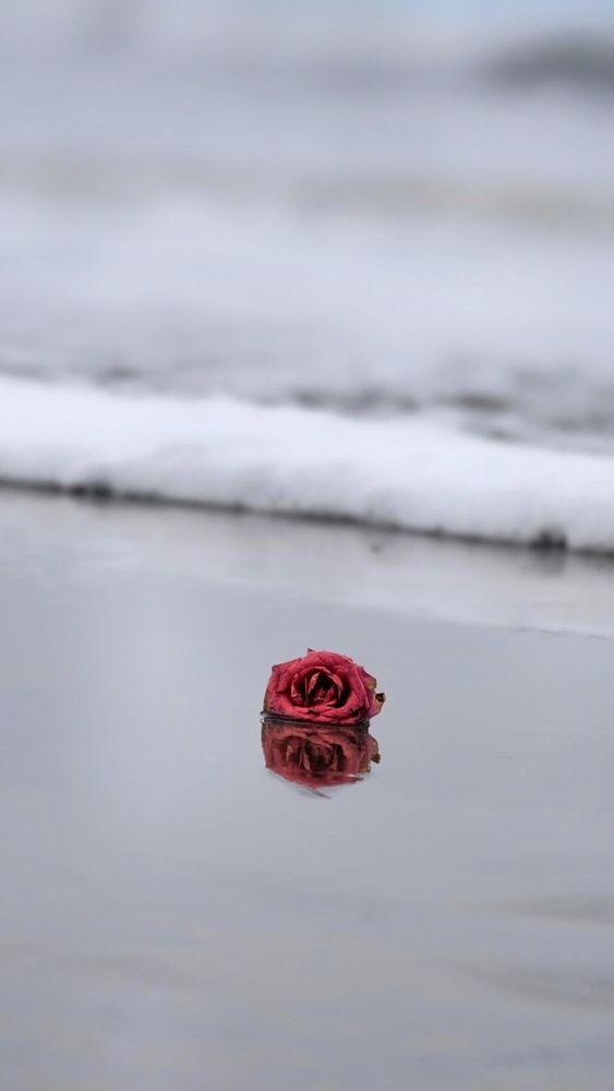 Photograph by Sahil Jadhav
