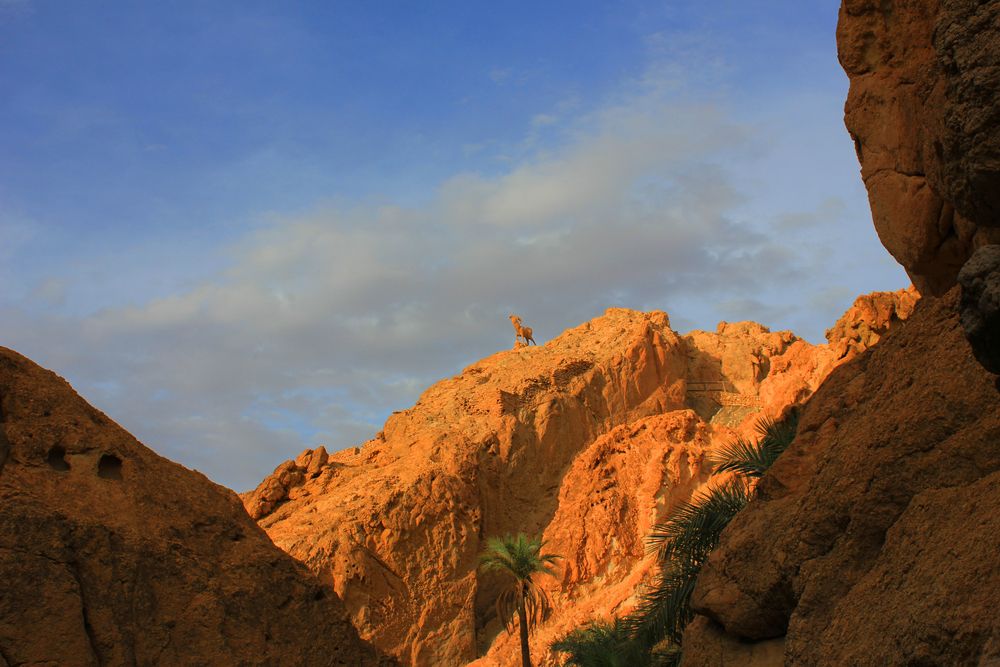 Photograph by Елена Поспелова