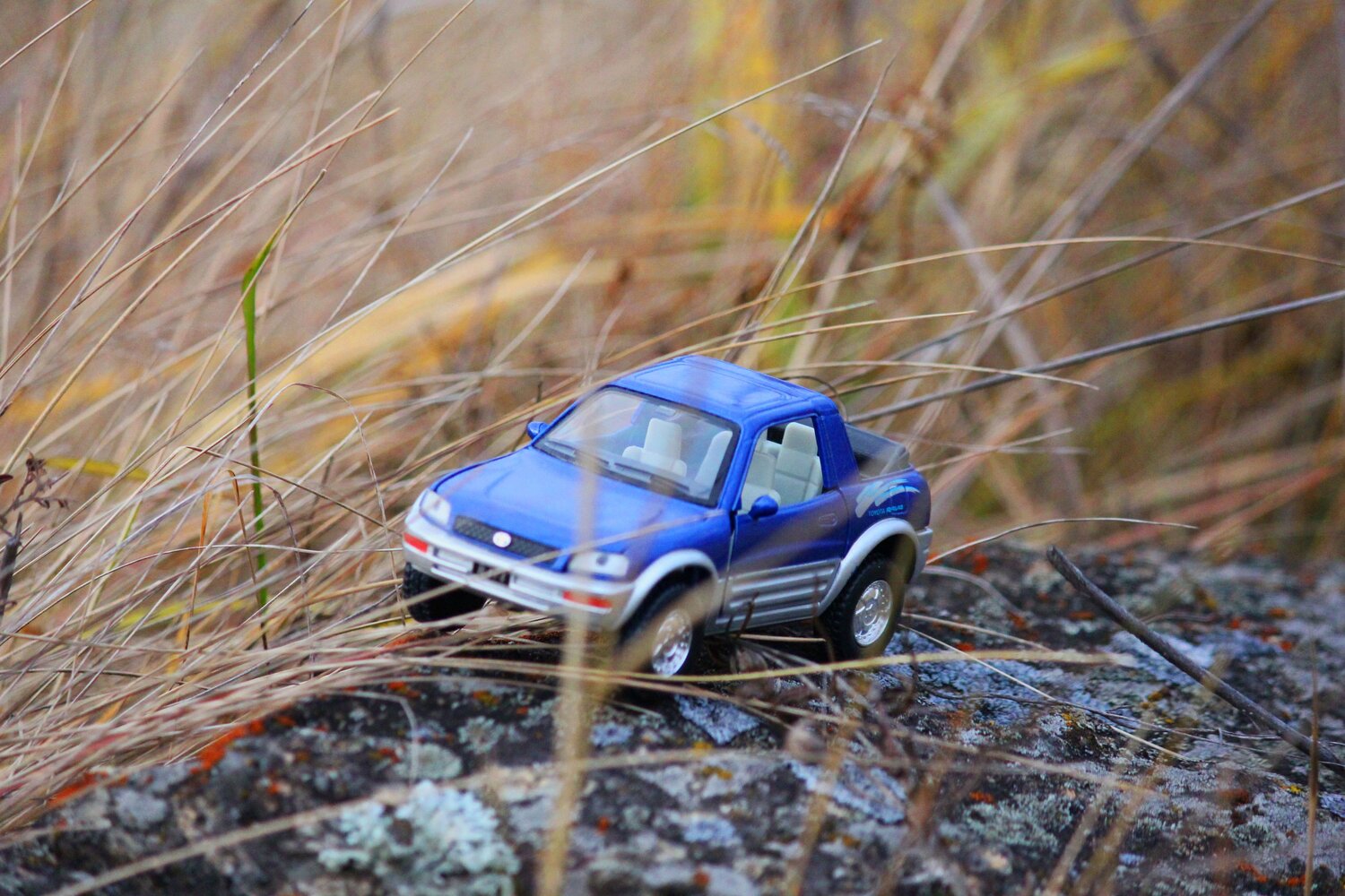 Photo #13657754