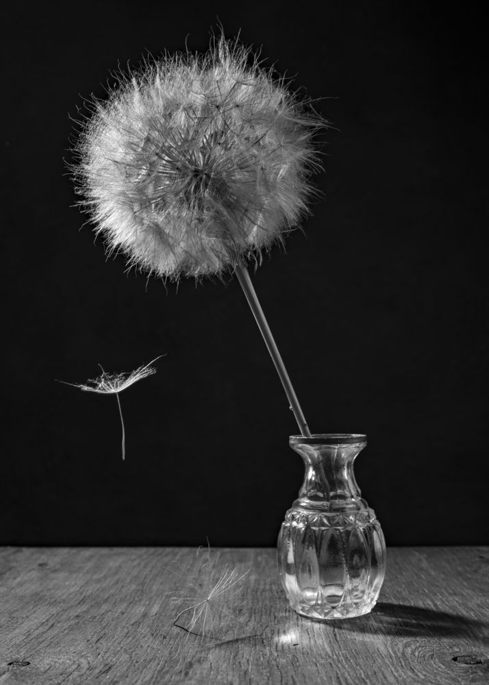Photograph by Оксана Завьялова