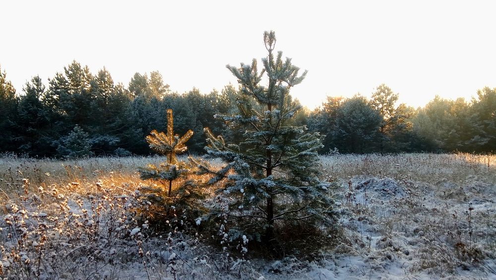 Photograph by Татьяна Поспелова