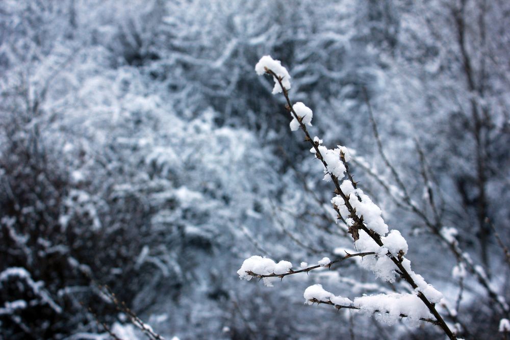 Photograph by Татьяна Поспелова