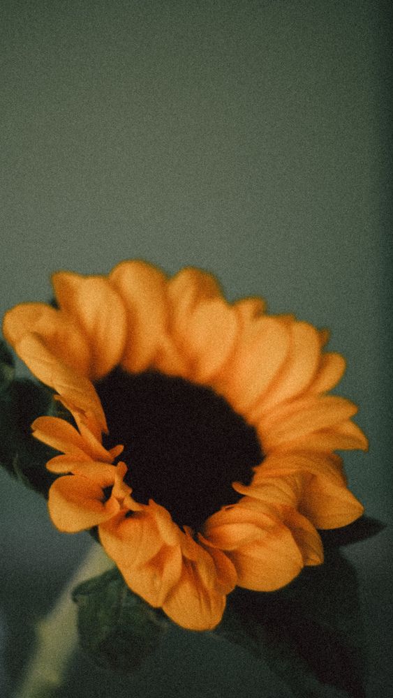 Photograph by Татьяна Антонова