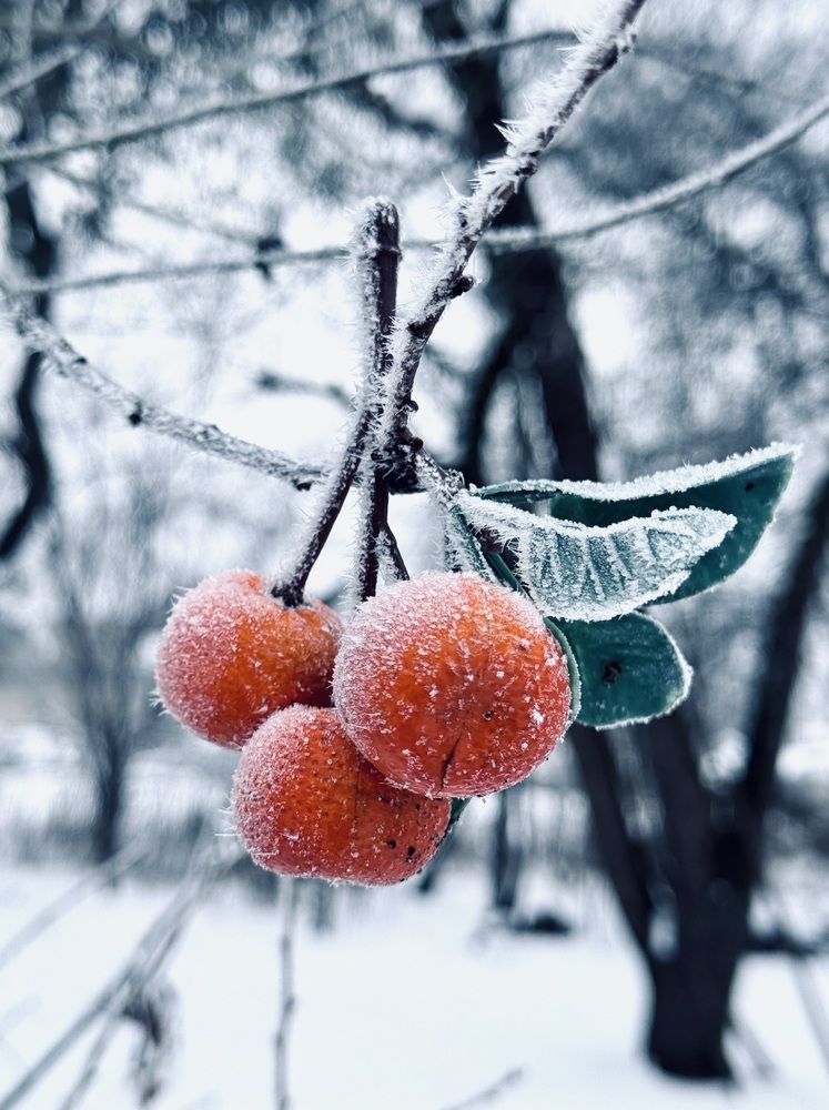 Photograph by Юлия Чернышёва