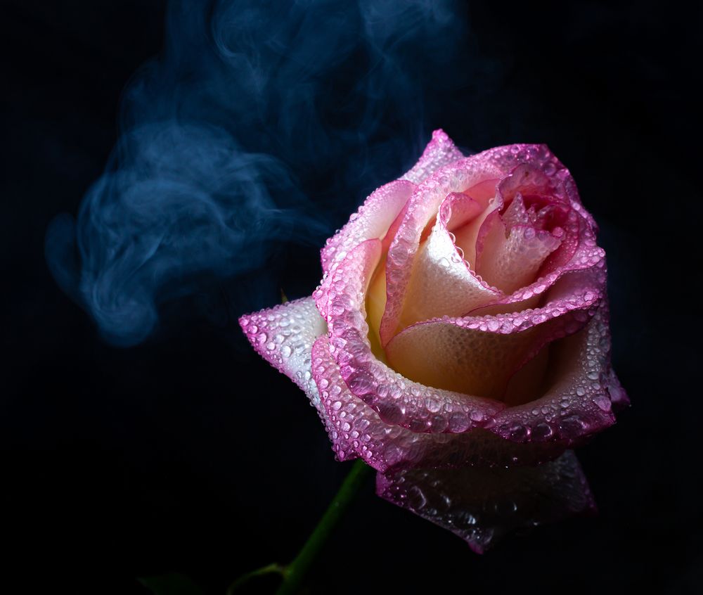 Photograph by Сергей Самойлов