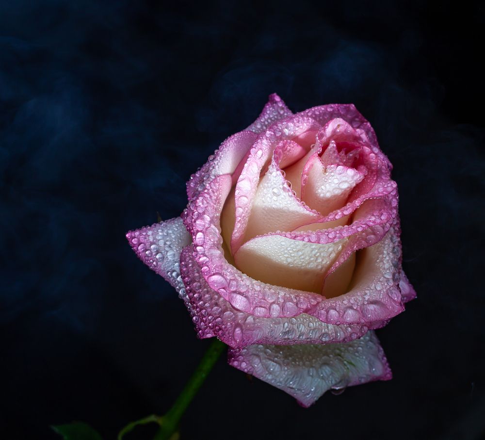 Photograph by Сергей Самойлов