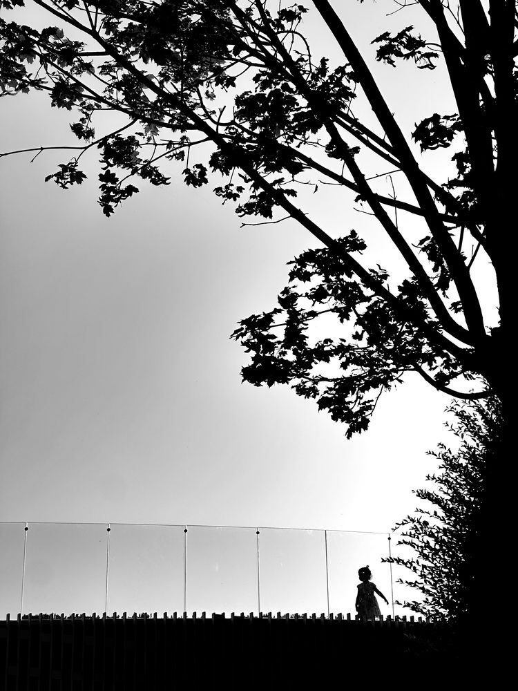 Photograph by Екатерина Анпилова