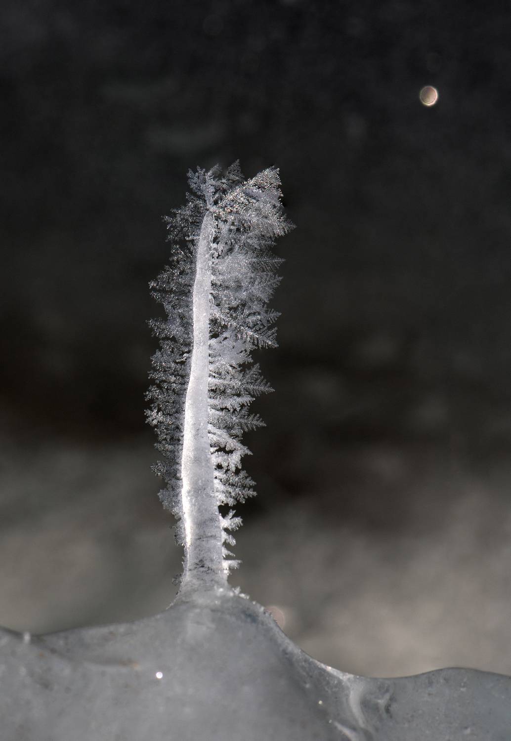 Photo #13658138