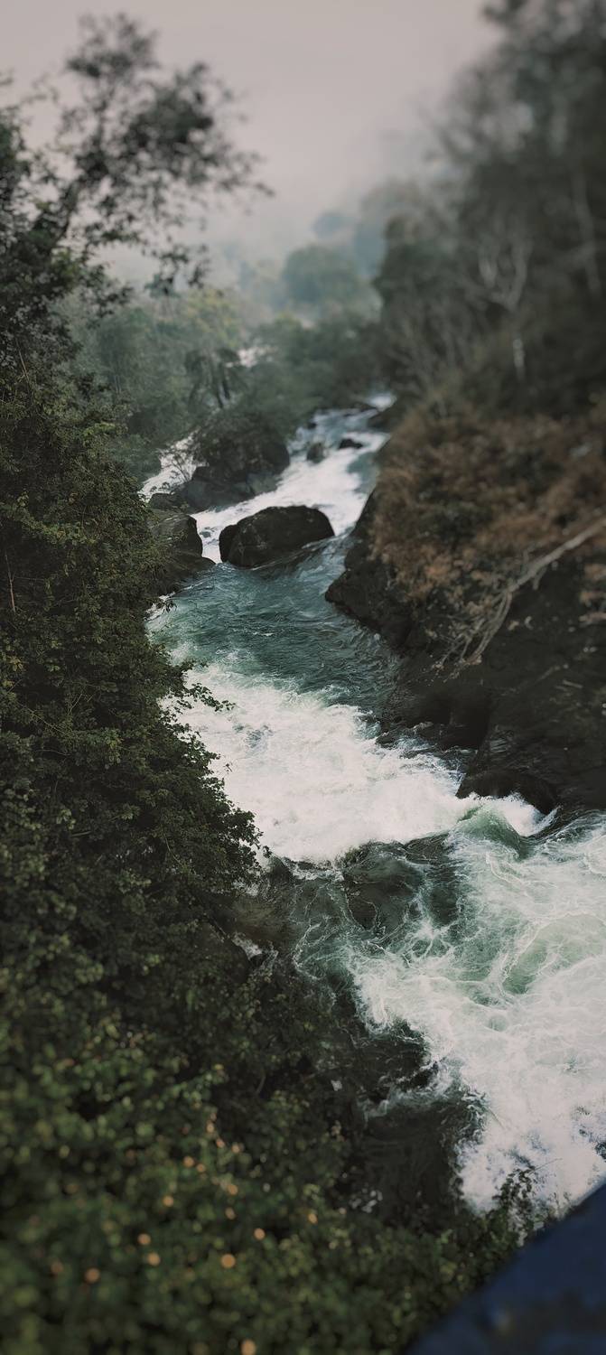 Photo #13658150