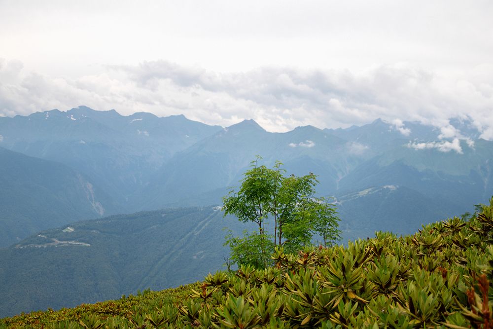 Photograph by Юлия Козельских
