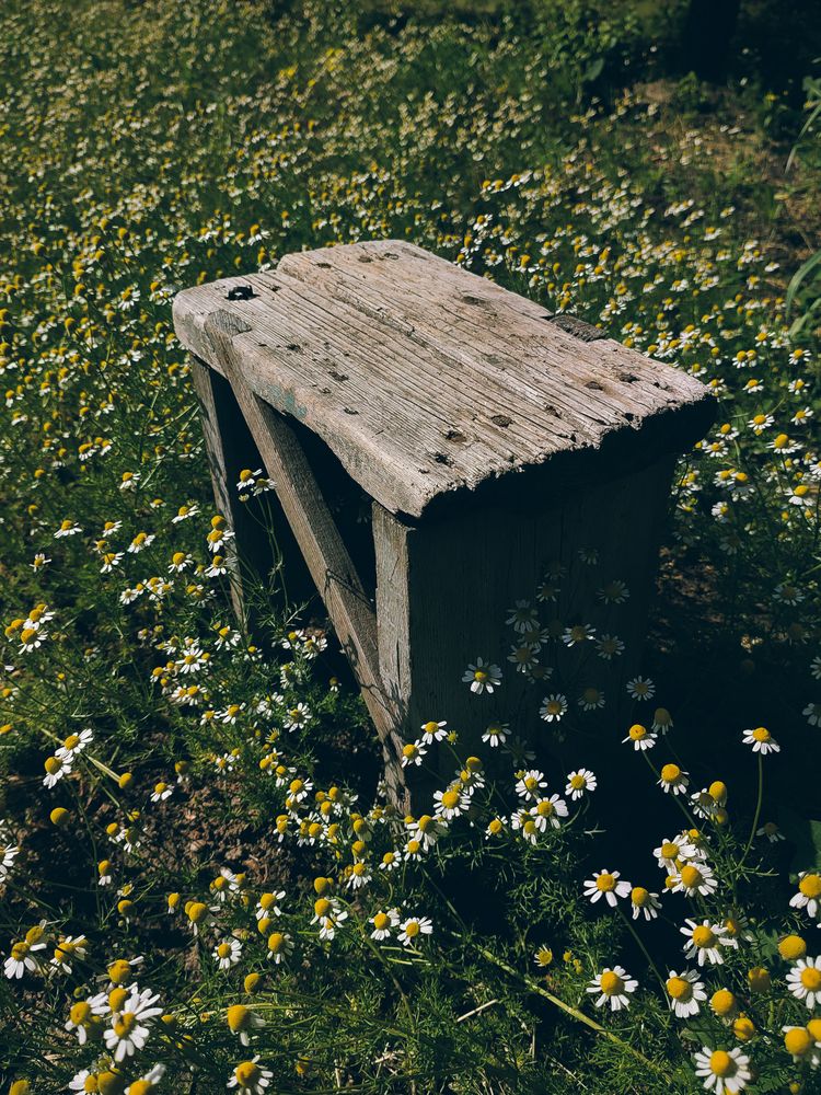 Photograph by Аліна Слишик
