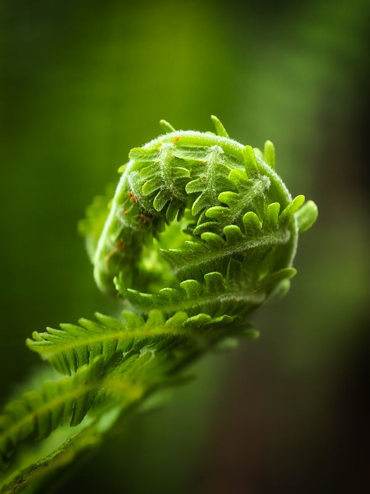 Photograph by Vlad S.