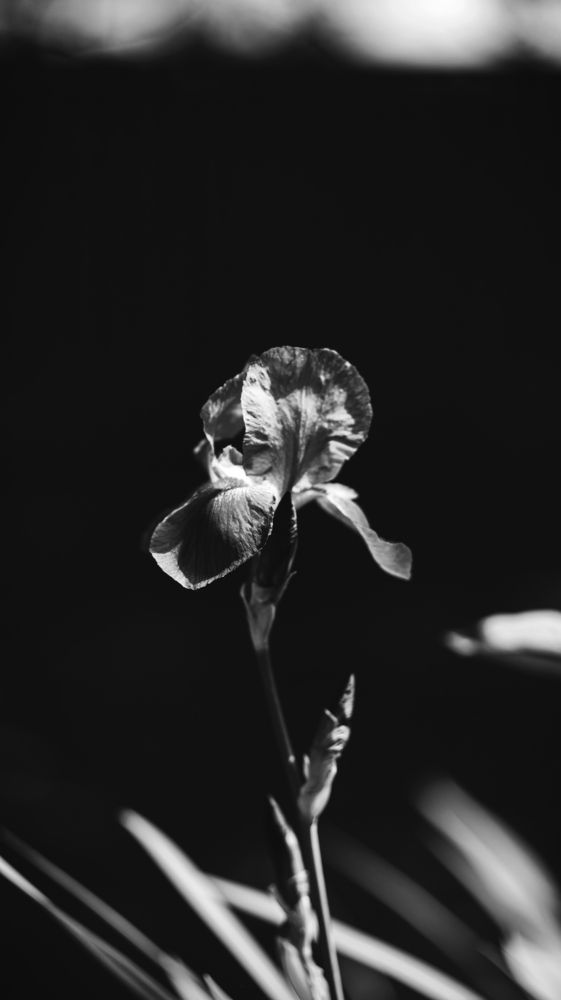Photograph by Alisa Lisova