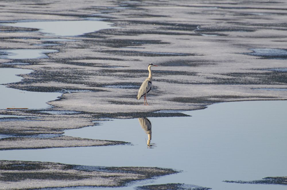 Photograph by Светлана Кудянова