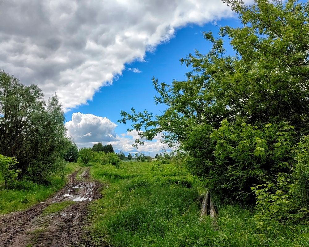 Photograph by Михаил Янкин
