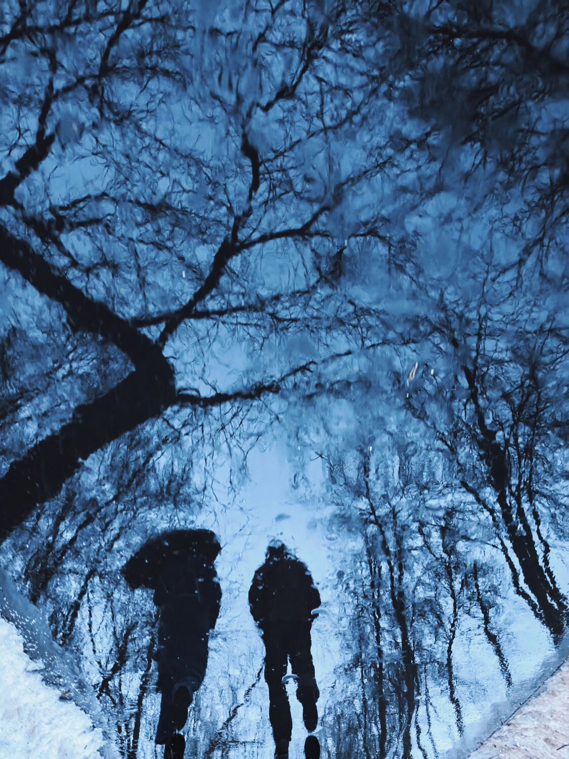 Photo #13658356