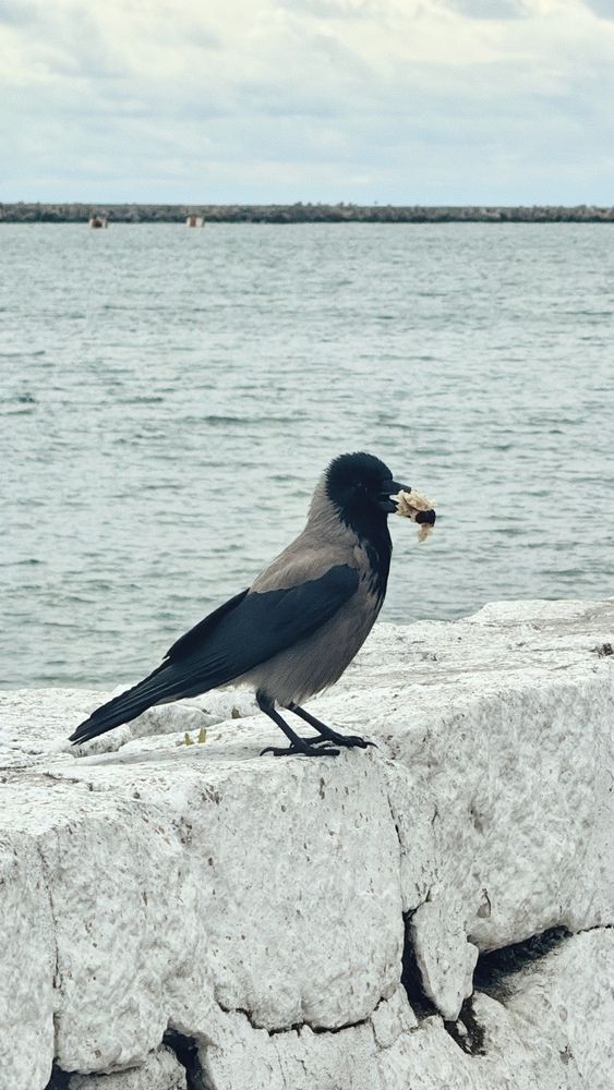 Photograph by Мария Смирнова