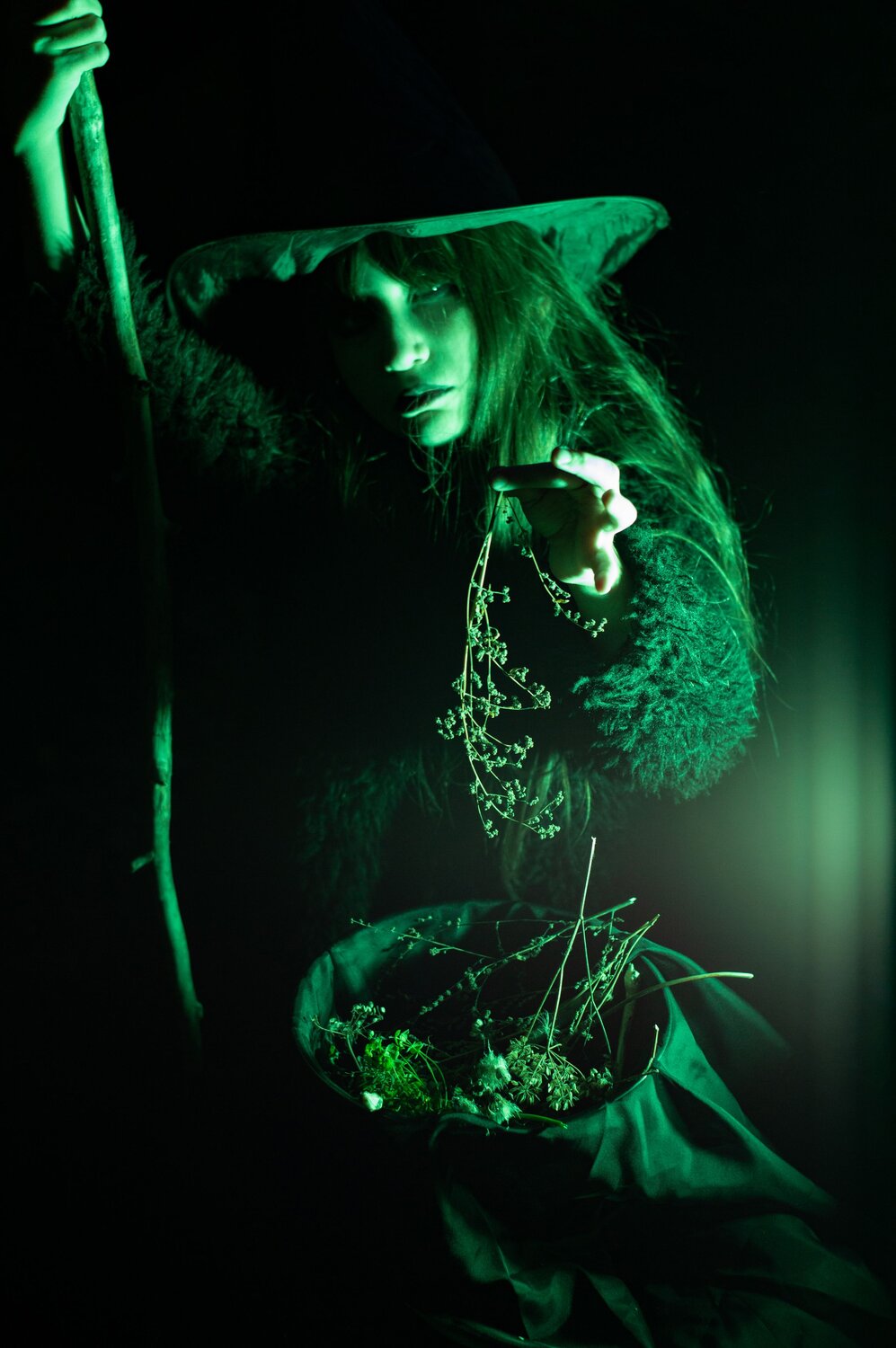 Photo #13658380