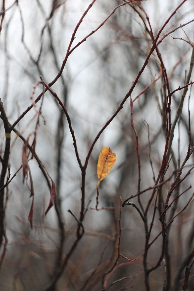 Photograph by Екатерина Иванова