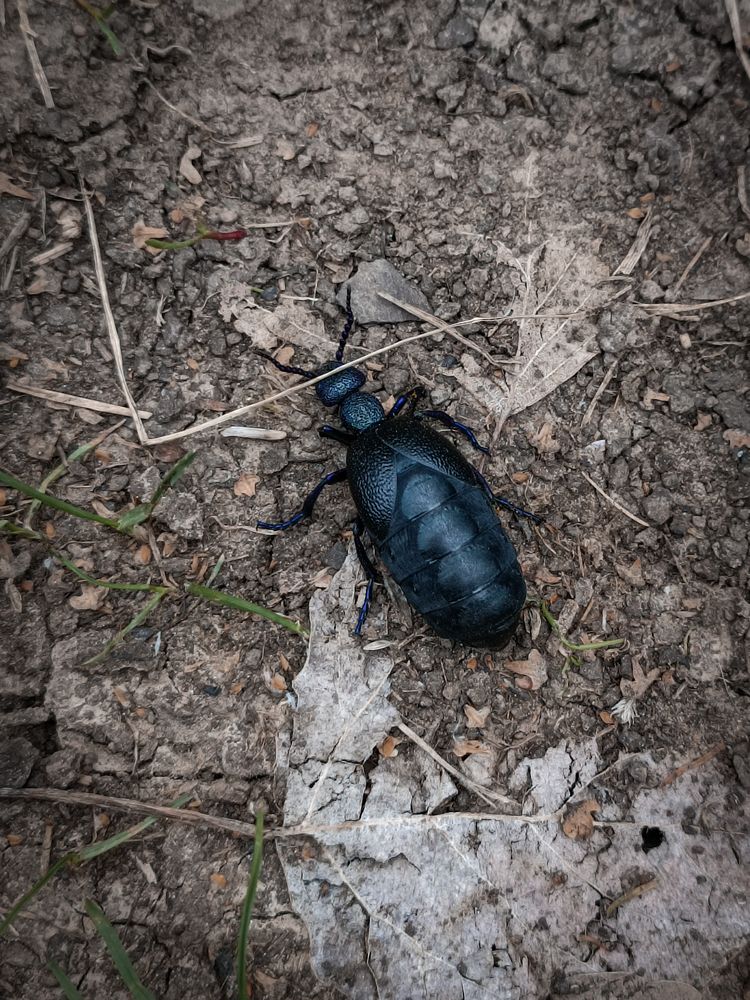 Photograph by Людмила Худякова