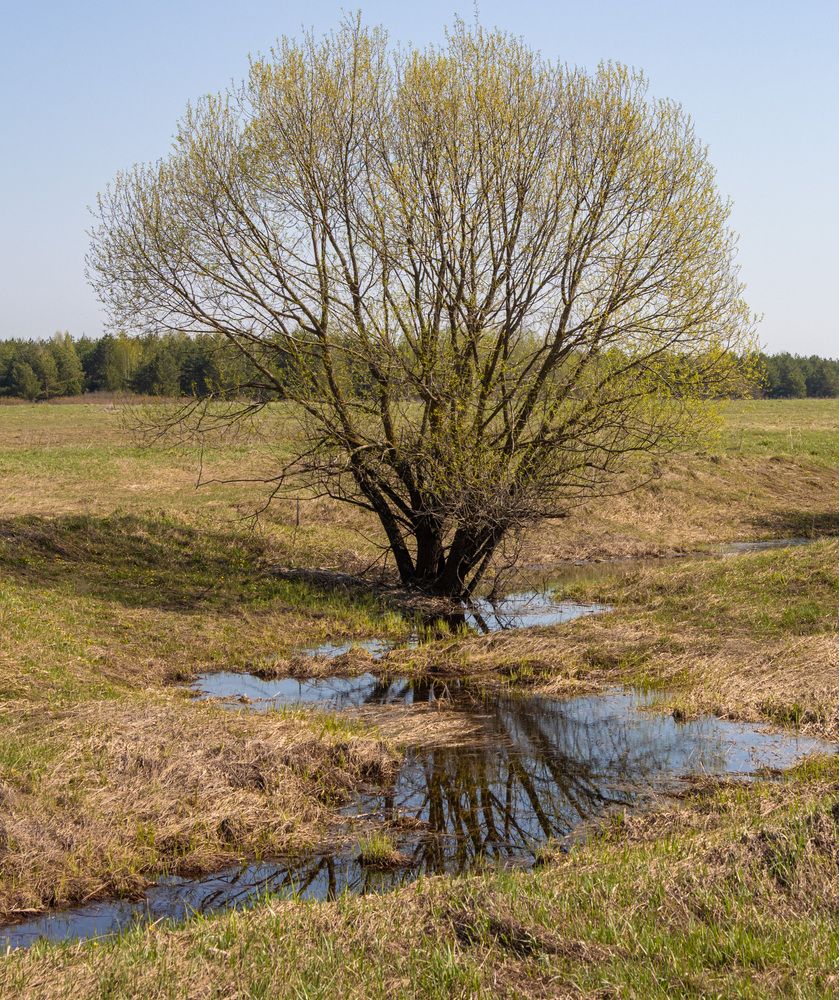 Photograph by Сергей Щербаков
