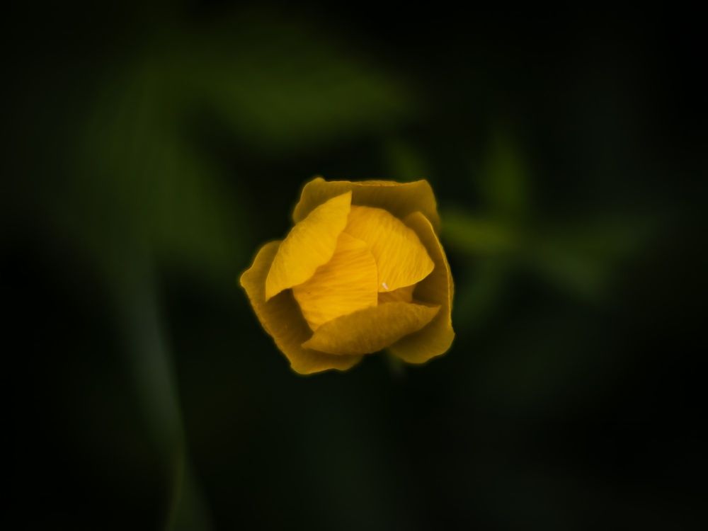 Photograph by Хабаров Сергей