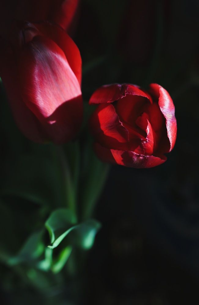 Photograph by Екатерина