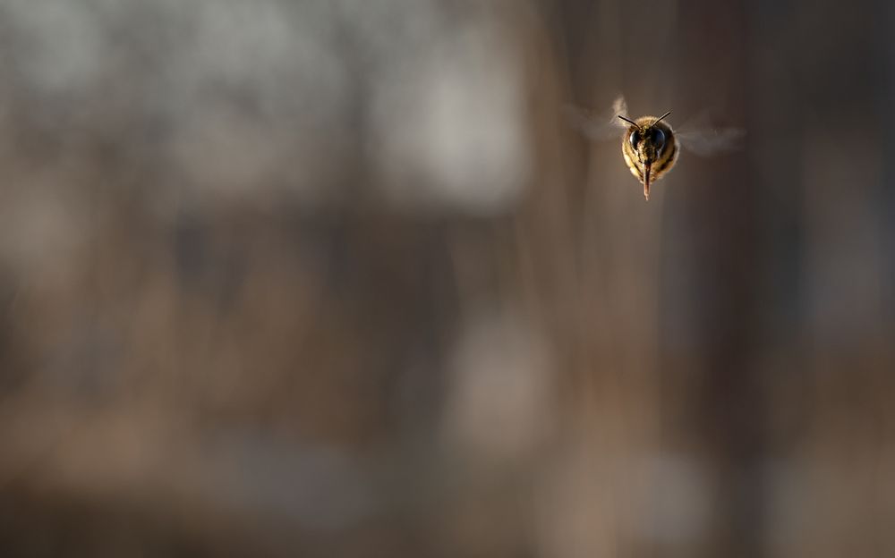 Photograph by Татьяна Феденкова